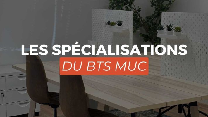 BTS MUC spécialisation MODE, DISTRIBUTION ou E-BUSINESS à TOTEM