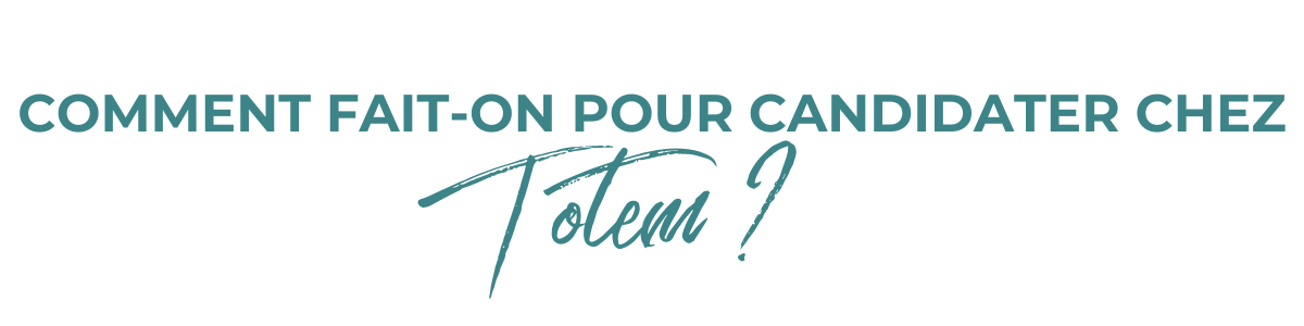 candidaté_chez_totem_rennes_ecoledecommerce candidaté_chez_totem_rennes_ecoledecommerce