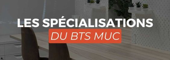 BTS MUC spécialisation MODE, DISTRIBUTION ou E-BUSINESS à TOTEM