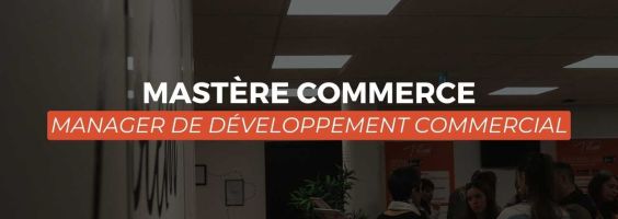 MASTERE MANAGER DE DÉVELOPPEMENT COMMERCIAL | TOTEM FORMATION