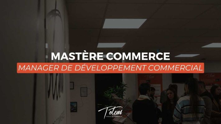MASTERE MANAGER DE DÉVELOPPEMENT COMMERCIAL | TOTEM FORMATION