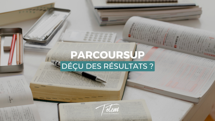 Parcoursup 2025 : vous n’avez reçu aucune proposition ? TOTEM vous ouvre ses portes, même sans être passé par la plateforme